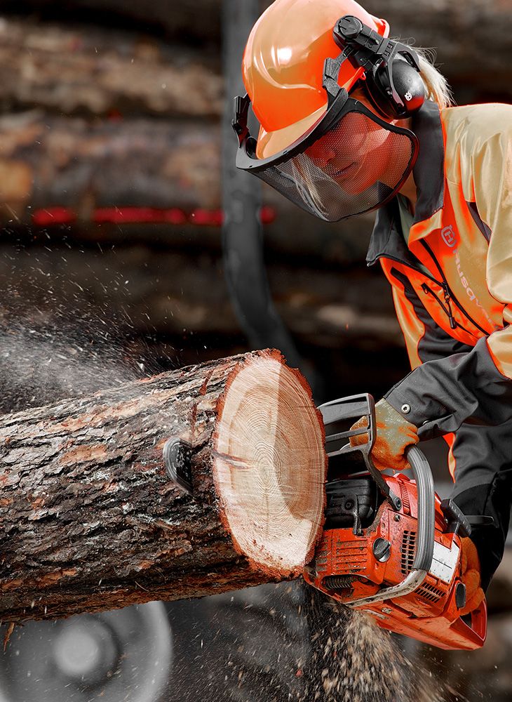 Dal&scaron;&iacute; obory